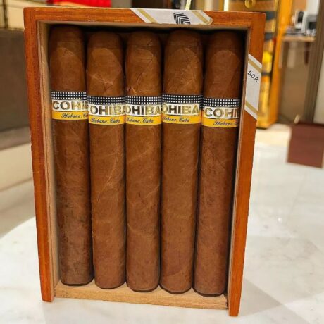 Cohiba Siglo VI Cigar - Box of 25