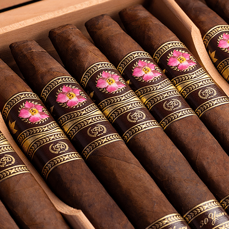 LFD 30 Years Anniversary - Image 3