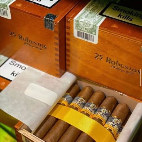 Cohiba Robustos Cigar