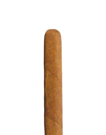 Fox House Blend Robusto