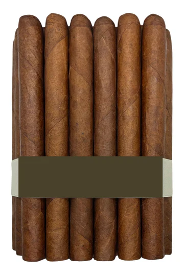 Puro Desnudo Carlota - Image 3