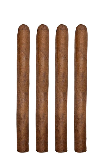 Puro Desnudo Carlota - Image 2