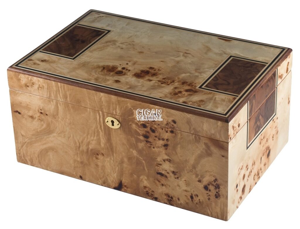 Toulouse Humidor – 175 cigars